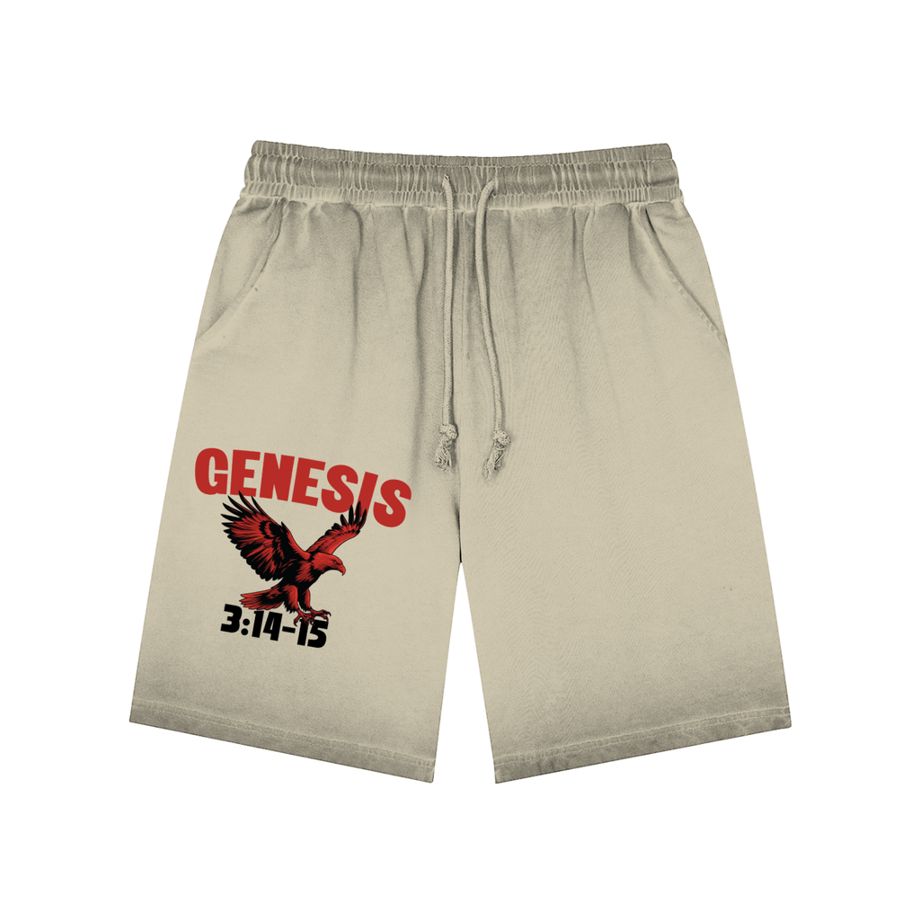 Genesis S4 Faded Sweatshorts