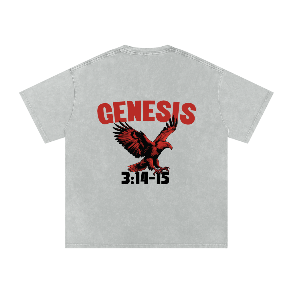 Genesis S4 Snow Washed Oversized Cotton T-Shirt