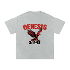 Genesis S4 Snow Washed Oversized Cotton T-Shirt