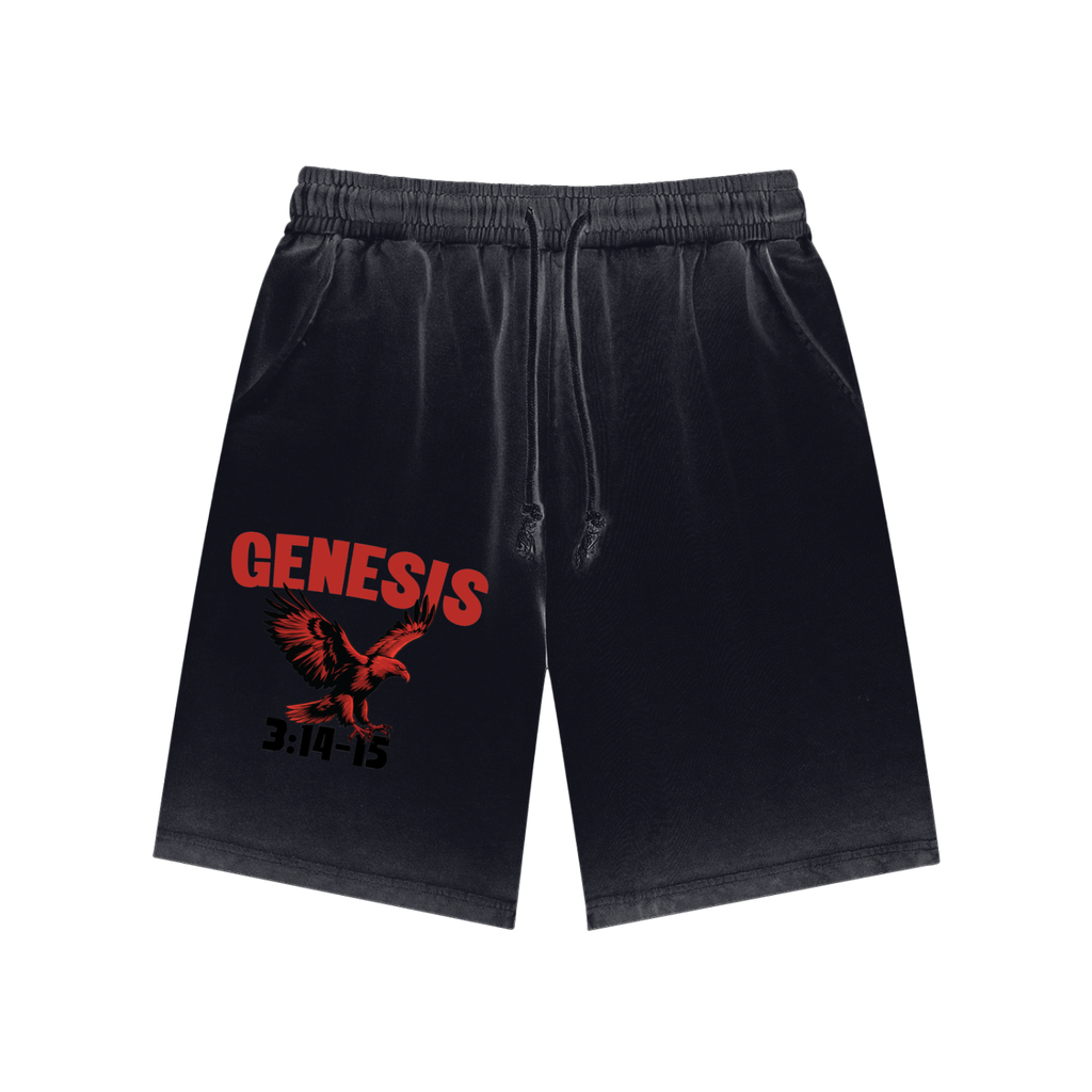 Genesis S4 Faded Sweatshorts