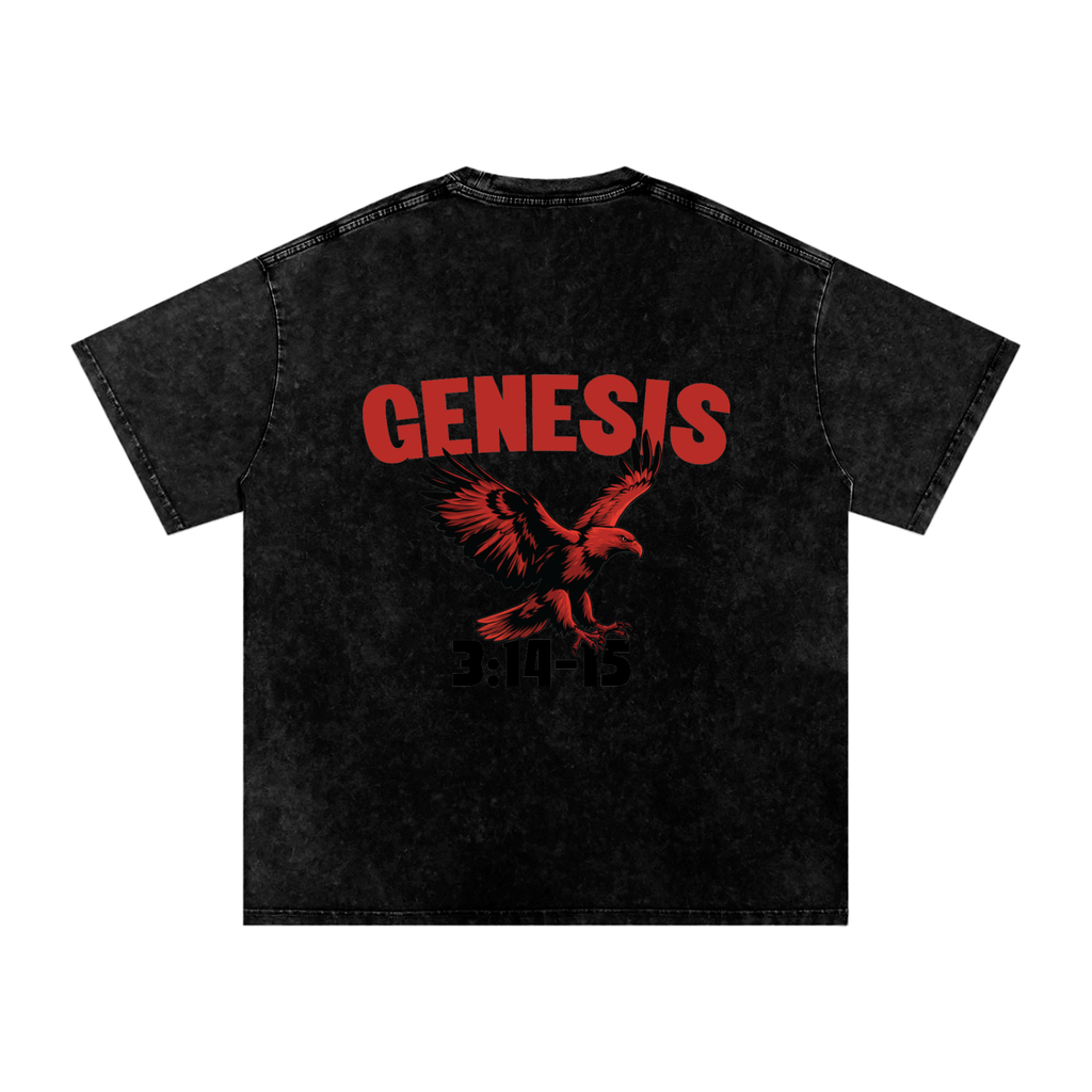 Genesis S4 Snow Washed Oversized Cotton T-Shirt