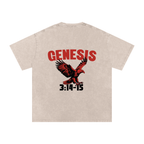 Genesis S4 Snow Washed Oversized Cotton T-Shirt