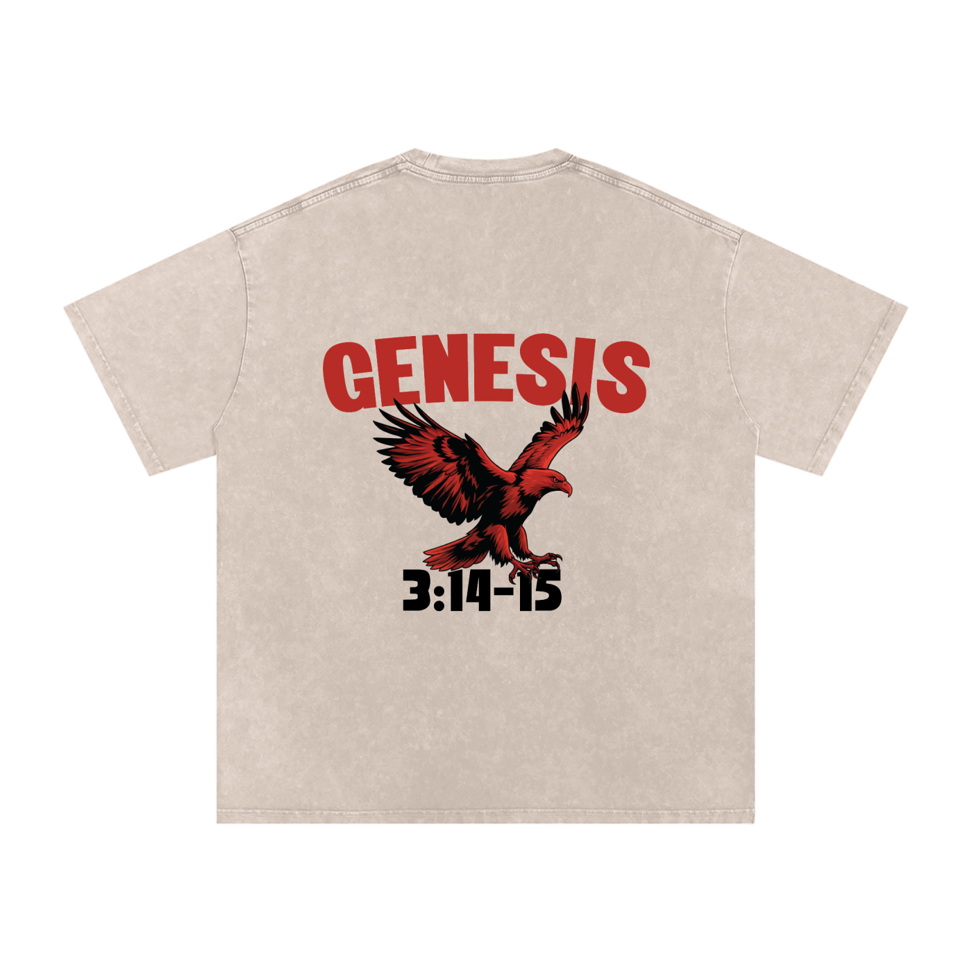Genesis S4 Snow Washed Oversized Cotton T-Shirt