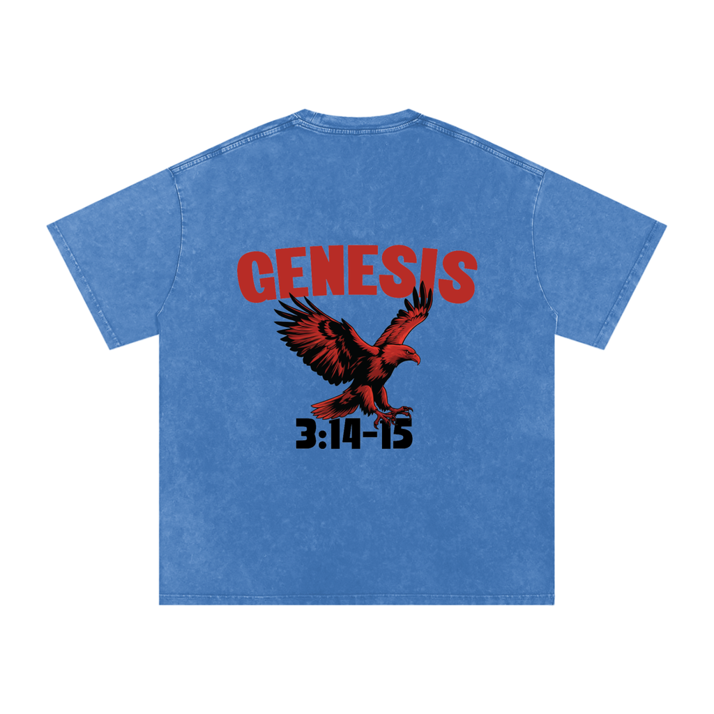 Genesis S4 Snow Washed Oversized Cotton T-Shirt