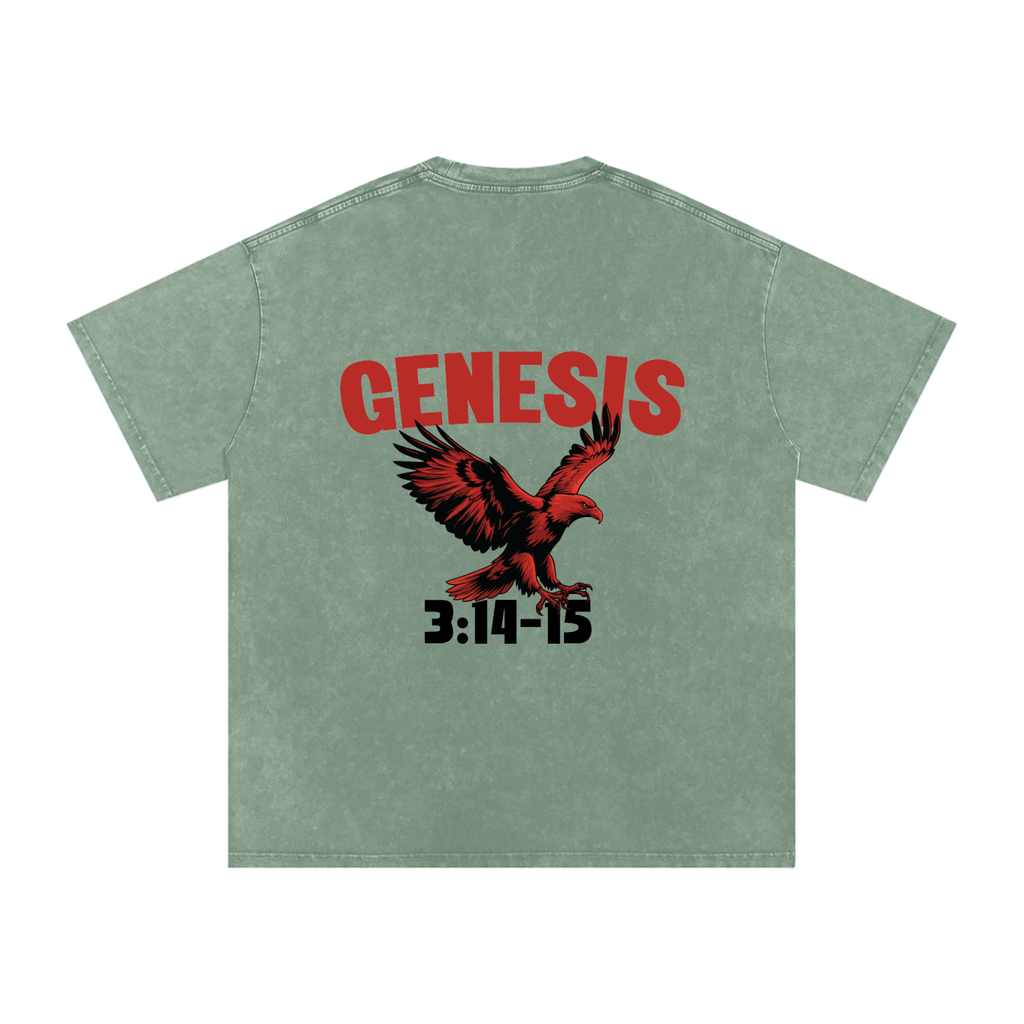 Genesis S4 Snow Washed Oversized Cotton T-Shirt