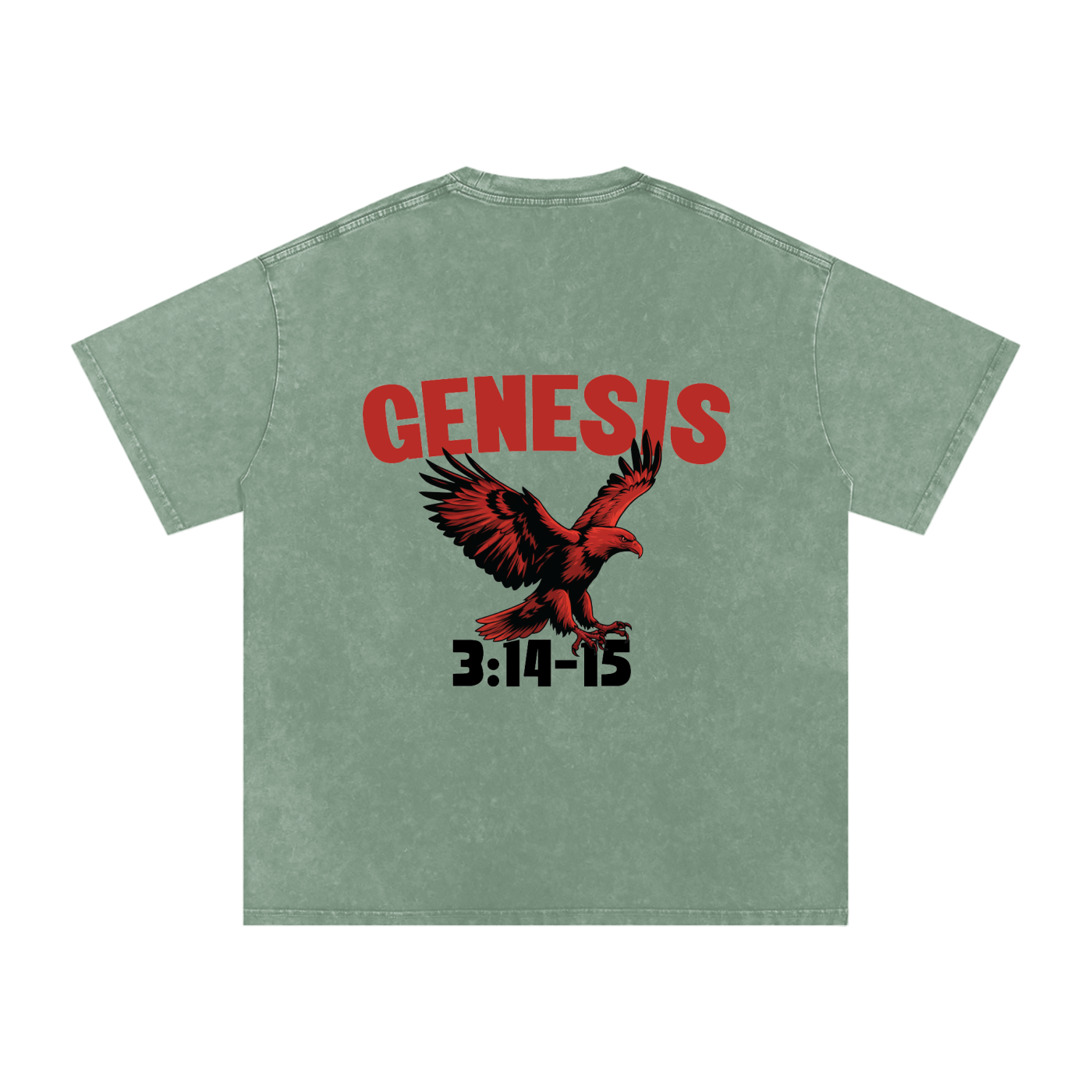 Genesis S4 Snow Washed Oversized Cotton T-Shirt