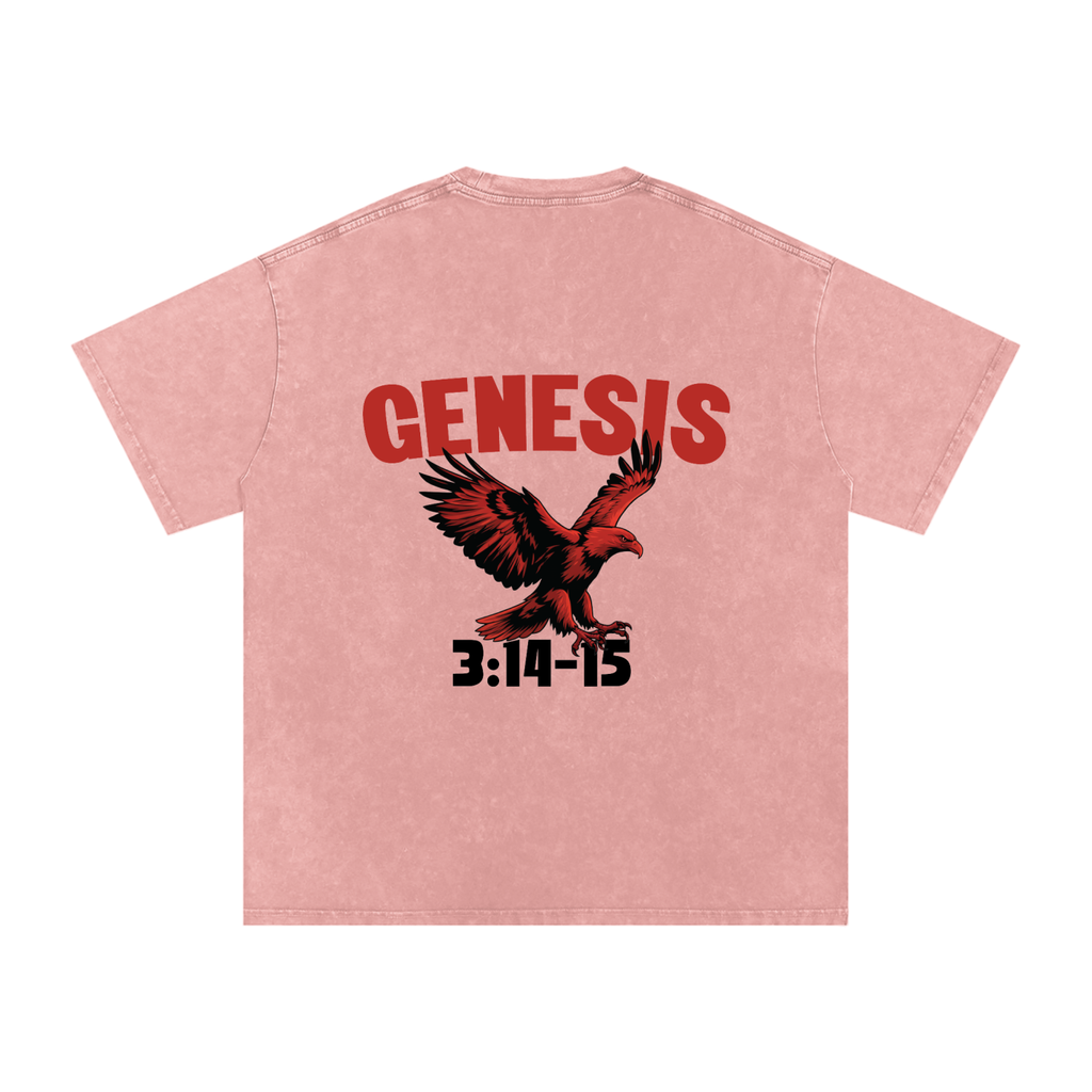 Genesis S4 Snow Washed Oversized Cotton T-Shirt