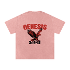 Genesis S4 Snow Washed Oversized Cotton T-Shirt