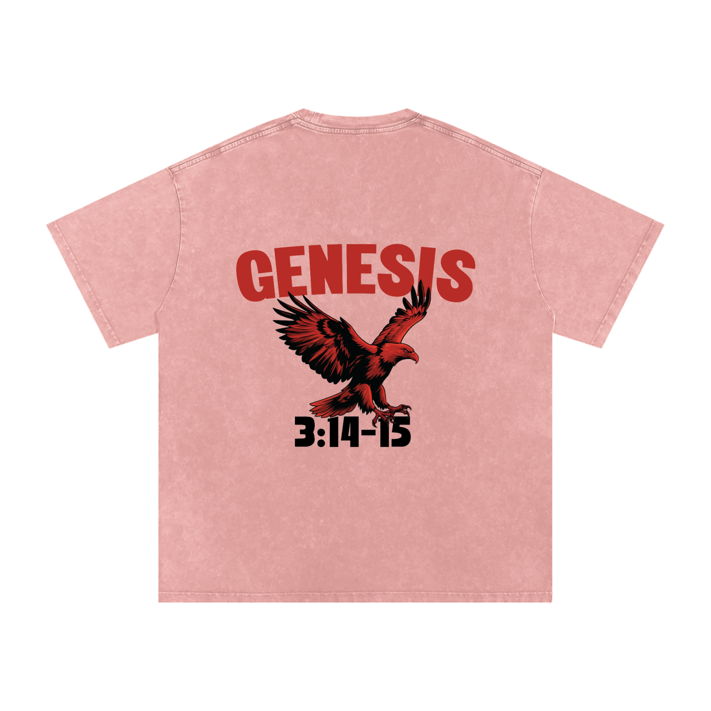 Genesis S4 Snow Washed Oversized Cotton T-Shirt