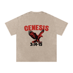 Genesis S4 Snow Washed Oversized Cotton T-Shirt