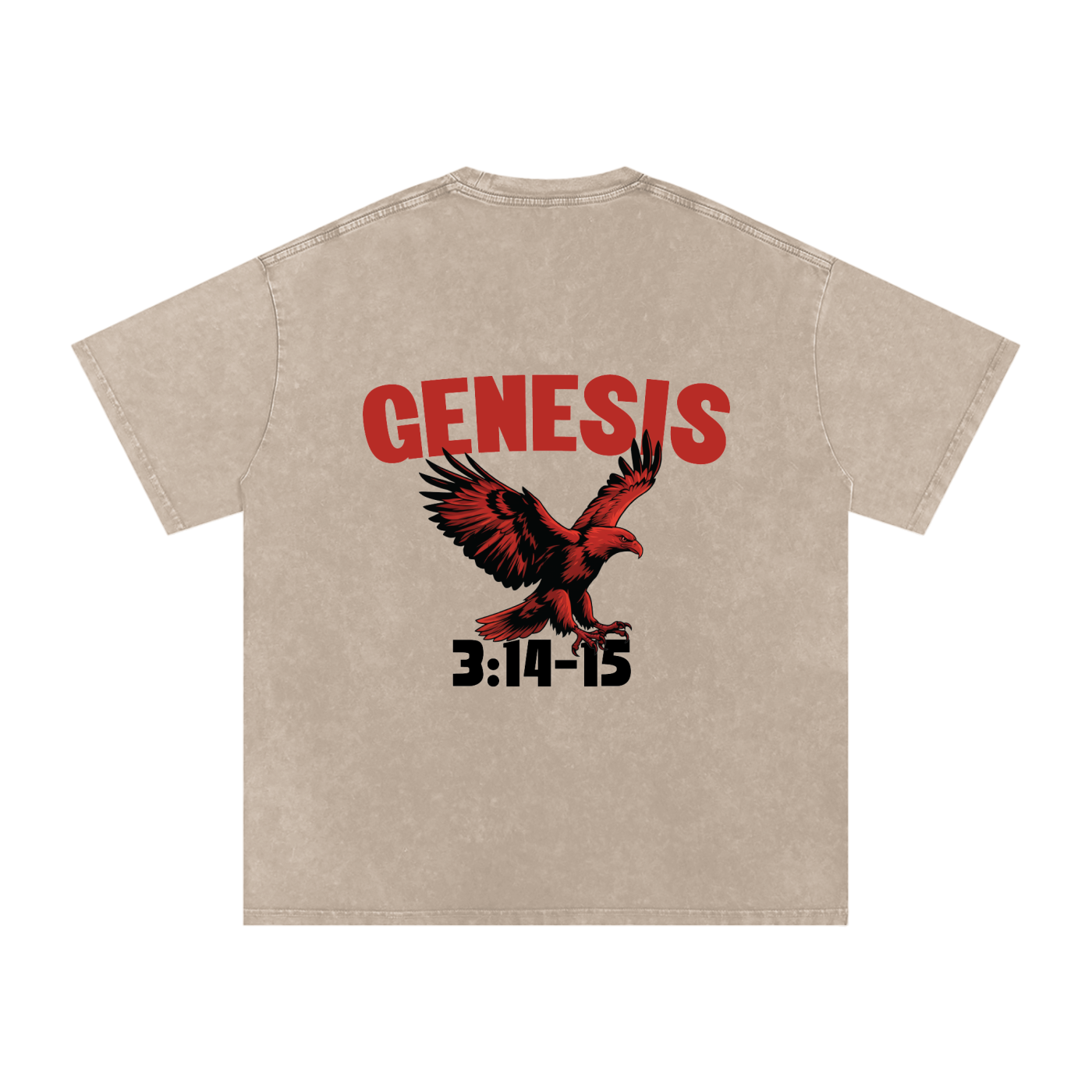 Genesis S4 Snow Washed Oversized Cotton T-Shirt